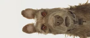 Isle of Dogs: Wes Anderson stellt den Cast für neuen Film vor