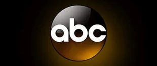 ABC bestellt neuen Anwaltspiloten aus dem Shondaland