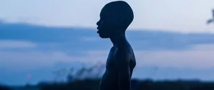 Moonlight: Identitätsfindung im neonbelichteten Verfall