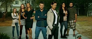 Secrets & Lies: Keine 3. Staffel von ABC