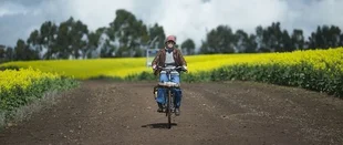 The Leftovers: The Book of Nora - Review des Serienfinales