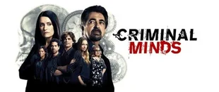 Criminal Minds: Fortsetzung der 12. Staffel im Juli bei Sat.1 Emotions