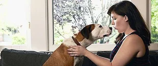 Downward Dog: ABC gibt Comedy nach Staffel 1 zur Adoption frei