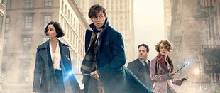 Phantastische Tierwesen: Erste Details zur Handlung des Sequels
