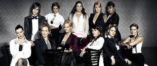 The L Word: Showtime plant Revival der Serie