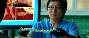 Mozart in the Jungle: Masi Oka in Staffel 4 zu Gast 