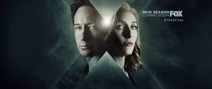 X-Files: 11. Staffel weitgehend ohne Mythologie-Folgen