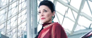 Punisher: Shohreh Aghdashloo in Netflix-Serie dabei