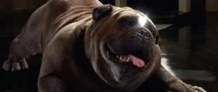 US-Quoten: Marvel's Inhumans mit bescheidenem Auftakt