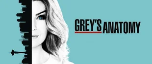 Grey's Anatomy: Sechs neue Auszubildende in Staffel 14