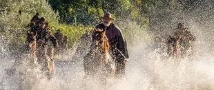 Godless: Erster Trailer zur Netflix-Westernserie