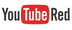 Widow: YouTube Red bestellt Pilot vom Santa-Clarita-Diet-Team