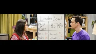 The Big Bang Theory: The Matrimonial Metric - Review