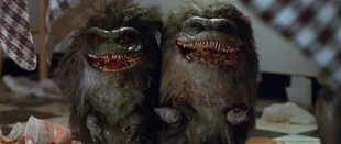 Critters: Serie zur Gruselfilmreihe bestellt