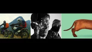 Streaming-Tipps: Conquering China, Mindhunter und Wiener Dog