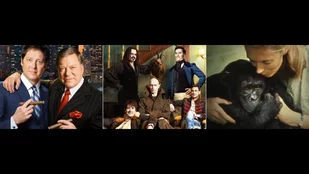 Streaming-Tipps: Boston Legal, What We Do in the Shadows und Jane