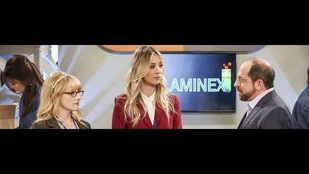 Szenenbild der „The Big Bang Theory“-Episode „The Conference Valuation“ (c) CBS