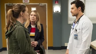 Szenenbild zu der „Grey's Anatomy“-Episode „Drawn to the Blood“ / (c) ABC