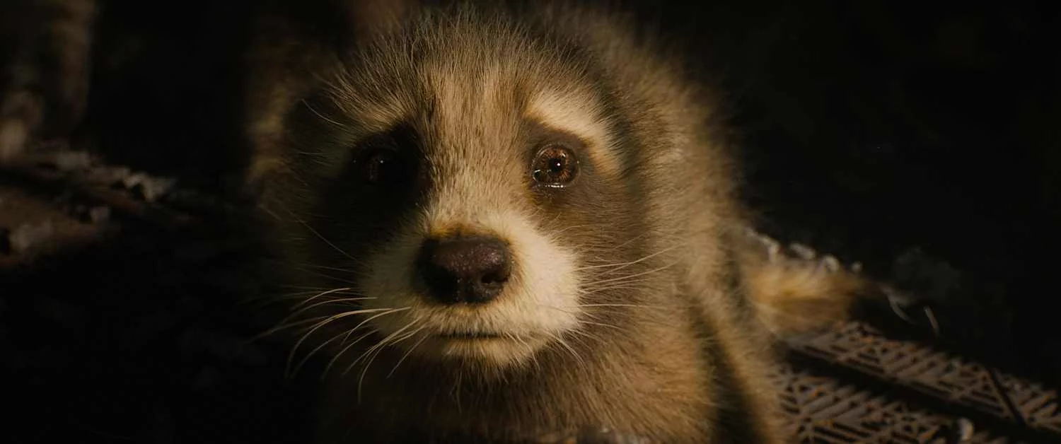 Szenenfoto aus „Guardians of the Galaxy: Volume 3“
