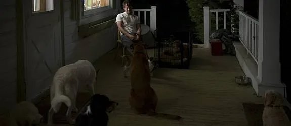 Will Graham (Hugh Dancy) im Kreise seiner Hunde. &copy; NBC