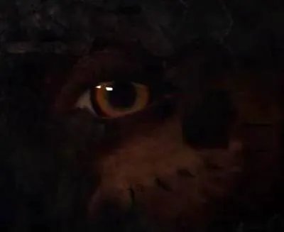 Raina?. Szenenfoto aus der Episode %26bdquo;What They Become%26ldquo; der US-Serie %26bdquo;Marvel%26#039;s Agents of S.H.I.E.L.D.%26ldquo; © ABC
