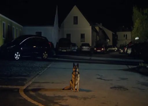 Ist Schäferhund Boxi ein Bote Satans? &copy; ORF