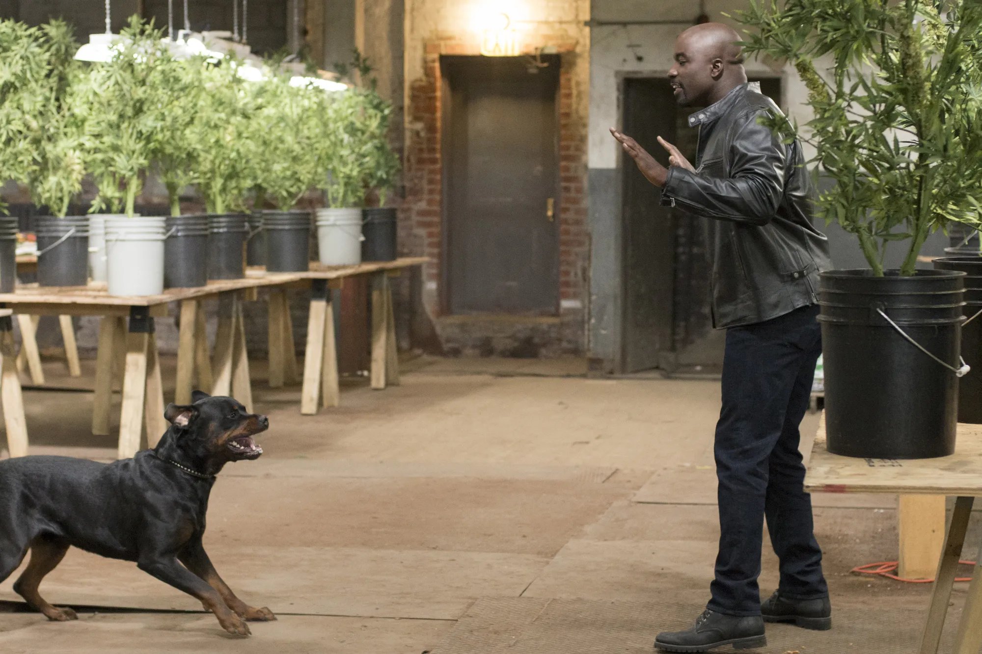 Luke Cage (Mike Colter) ist weniger bedrohlich; als es scheint. &copy; Netflix