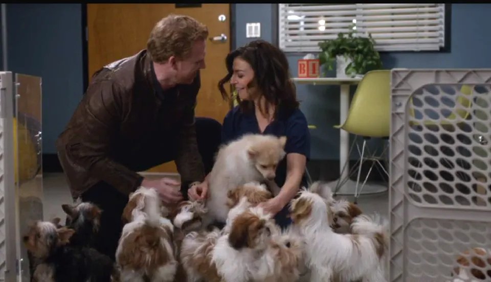 Owen und Amelia in %26bdquo;Grey%26#039;s Anatomy%26ldquo; &copy; ABC