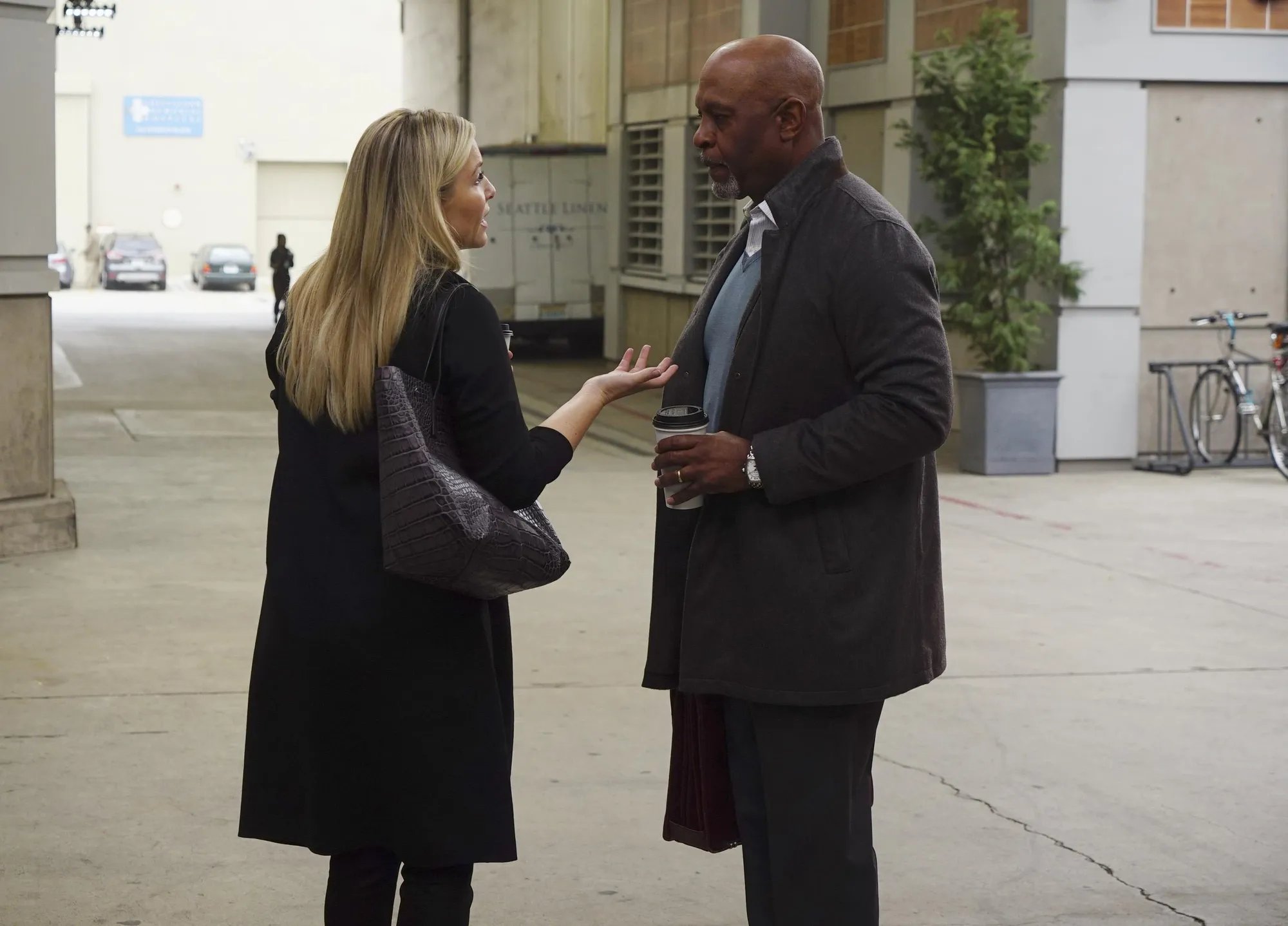 Arizona und Dr. Webber in %26bdquo;Grey%26#039;s Anatomy%26ldquo; &copy; ABC