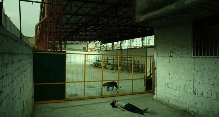 So brutal; so traurig; so folgerichtig: O%26#039;Pri (Antonio Folletto) und sein Panther. © Sky