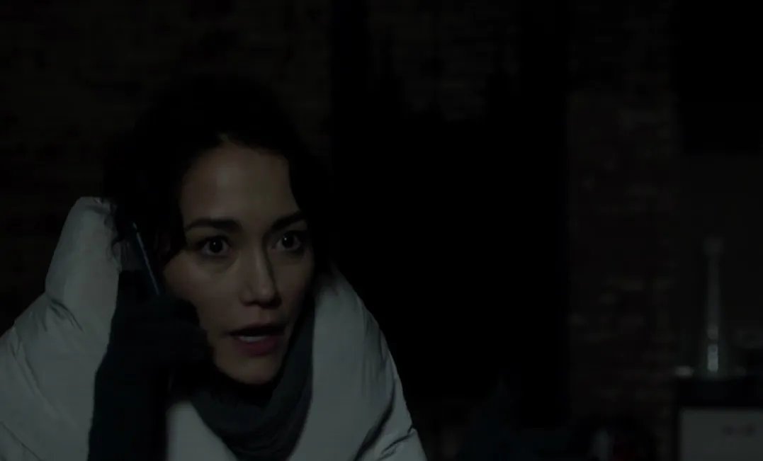 Sandrine Holt in %26bdquo;Mr. Robot%26ldquo; &copy; USA Network