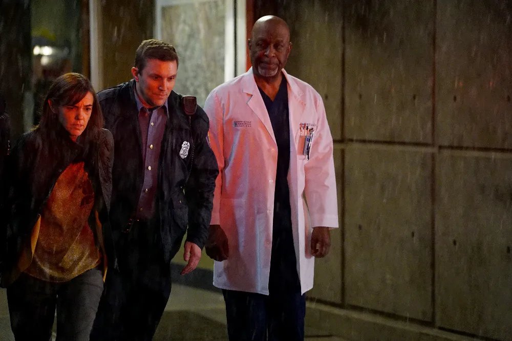 James Pickens Jr. in %26bdquo;Grey%26#039;s Anatomy%26ldquo; &copy; ABC