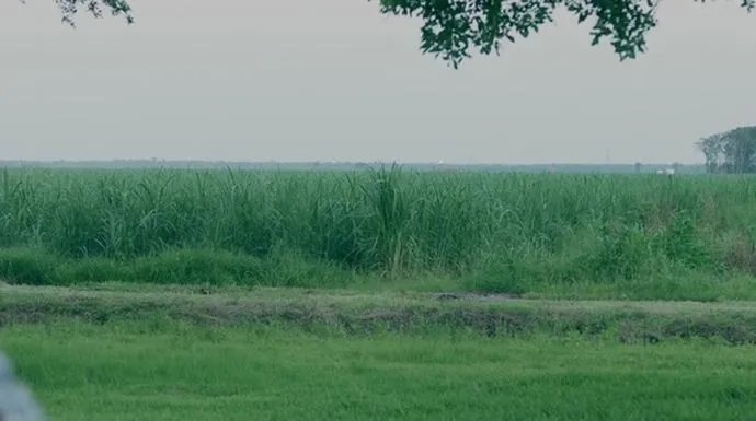 Wer beackert in der Zukunft dieses Feld? &copy; OWN