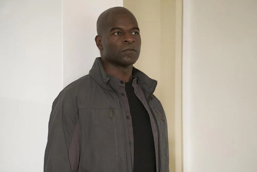 Hisham Tawfiq als Dembe Zuma in „The Blacklist“