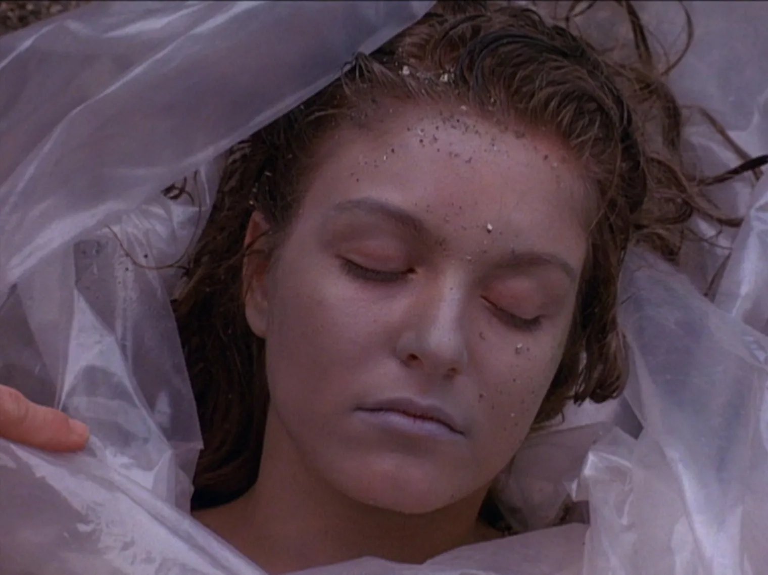 Laura Palmers Leiche (Sheryl Lee)