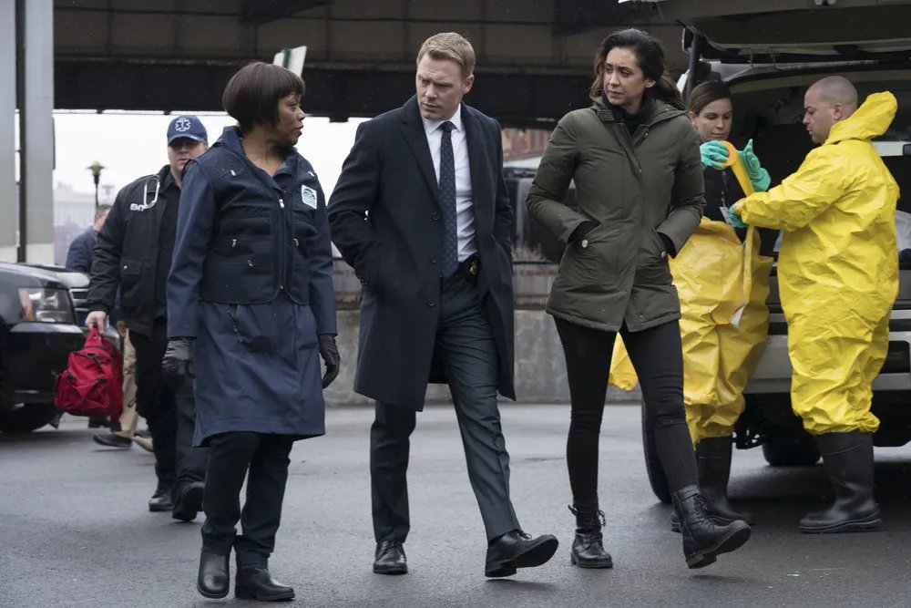 Regina Taylor, Diego Klattenhoff und Mozhan Marnò in „The Blacklist“