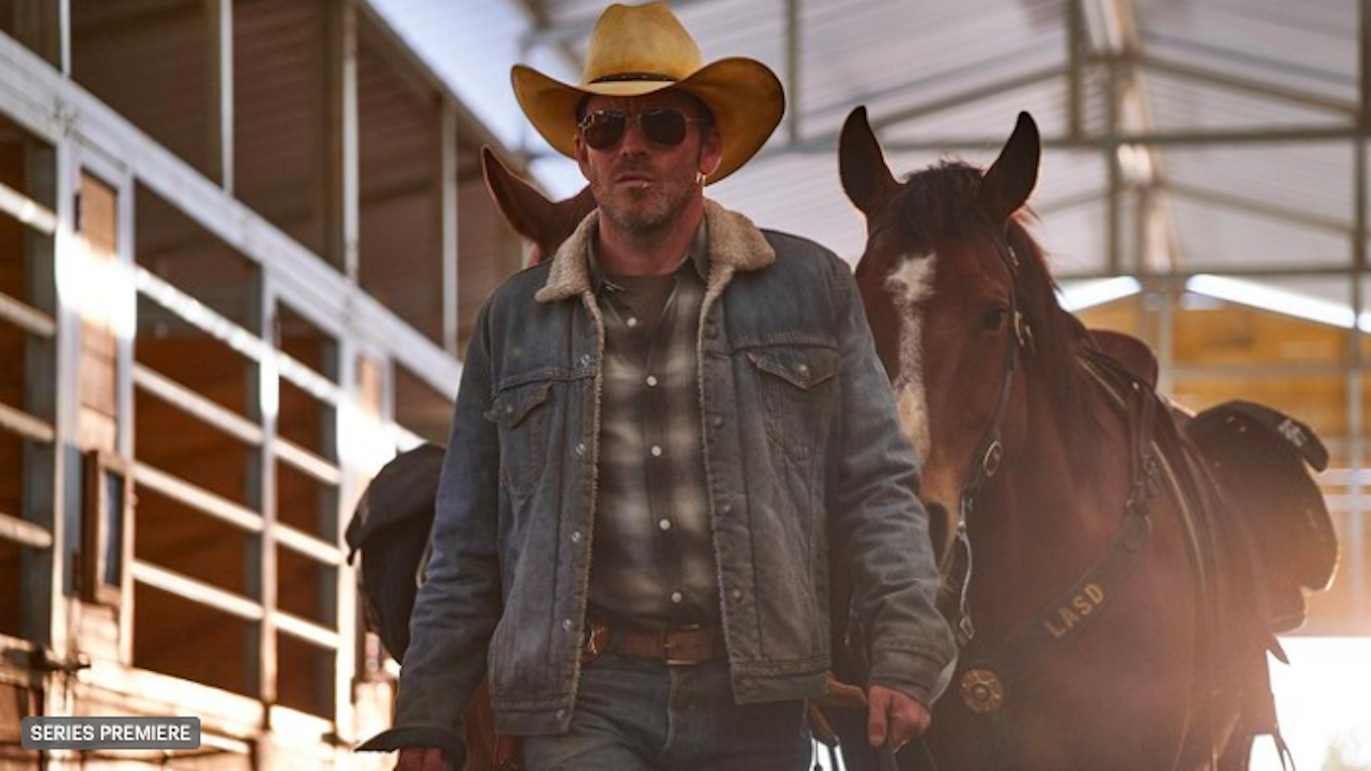 Stephen Dorff in Deputy