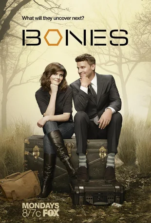 Bones Poster Staffel 8: What Will They Uncover Next?