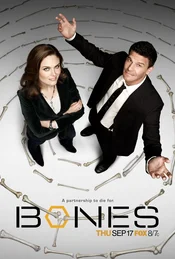 Bones Poster Staffel 5: A Partnership To Die For