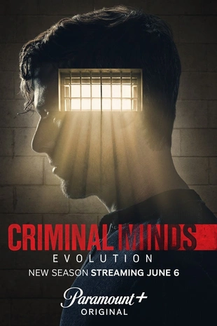 Poster zur Staffel 17