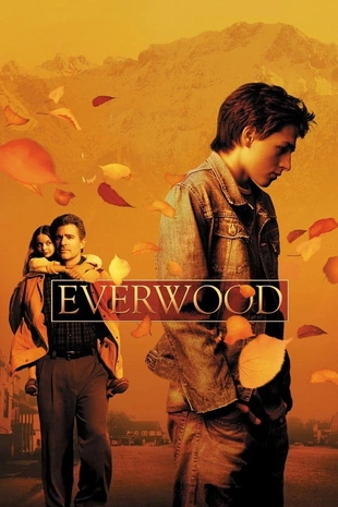 Serienposter