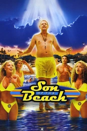 Serienposter