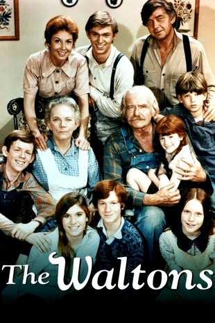 Serienposter