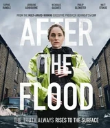 After the Flood
