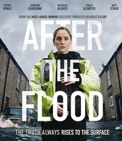 After the Flood Poster