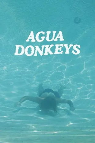 Agua Donkeys Poster Staffel 1