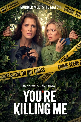Serienposter