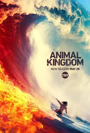 Animal Kingdom Poster Staffel 4