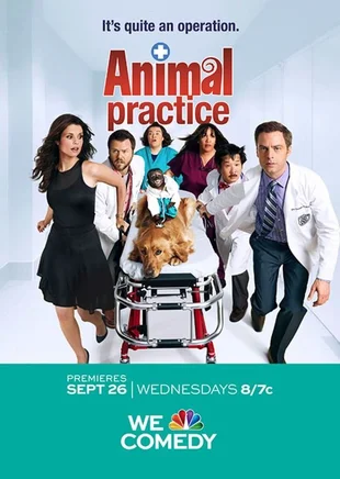 Animal Practice - 1. Poster