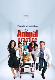 Serienposter